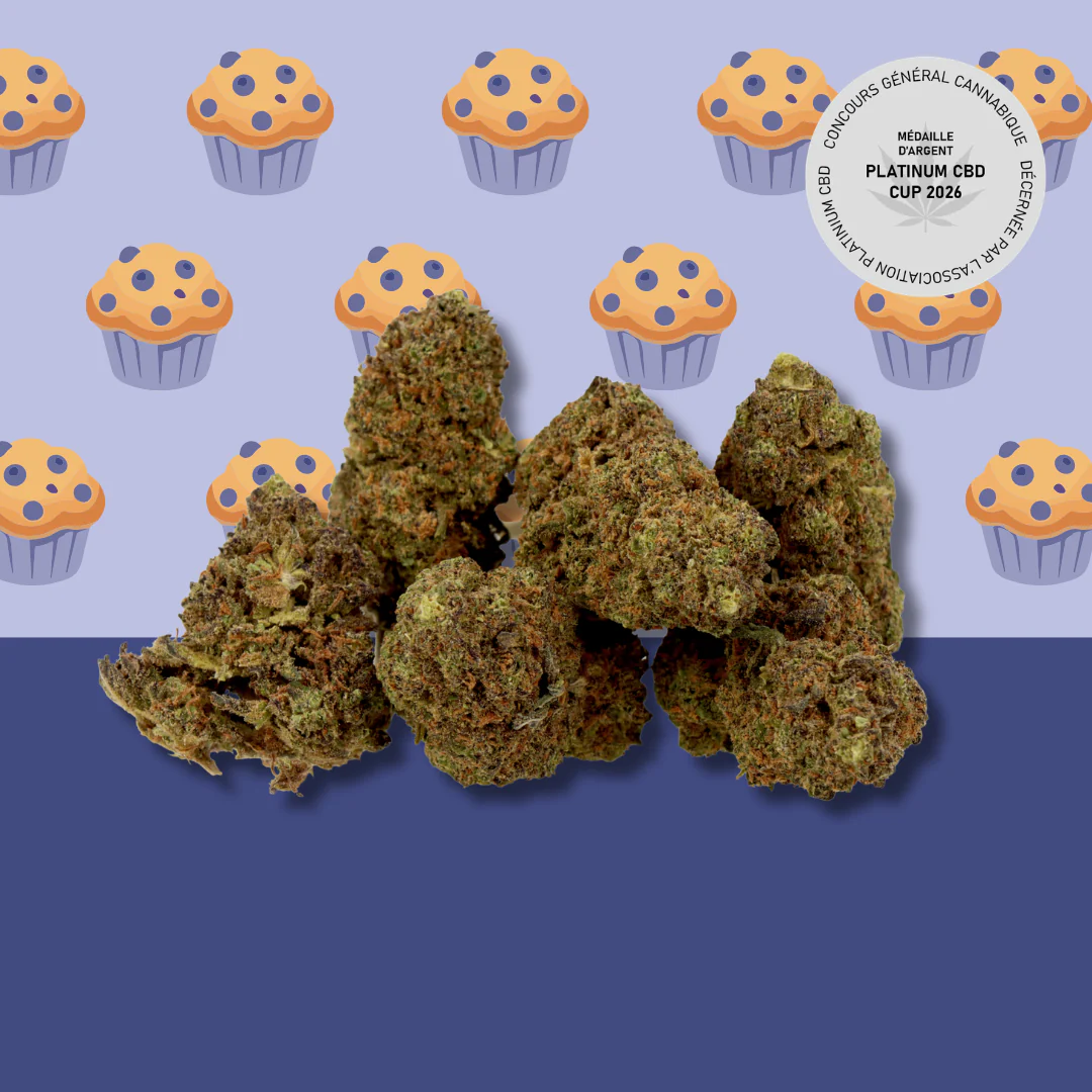 Potente CBD-Blüten