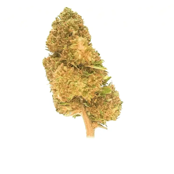 Produktbild 3